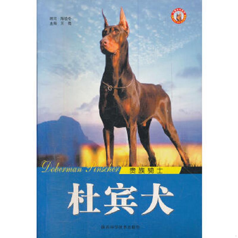 正版速发9787536943537 贵族骑士杜宾犬/世界名犬系列 王晓　主编 陕西科学技术出版社