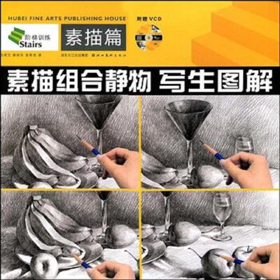 正版速发9787539425337 素描组合静物写生图解：素描篇 任成文