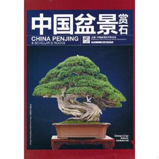2013 中国盆景赏石 中国盆景艺术家协会 主编 社 正版 中国林业出版 速发9787503869099