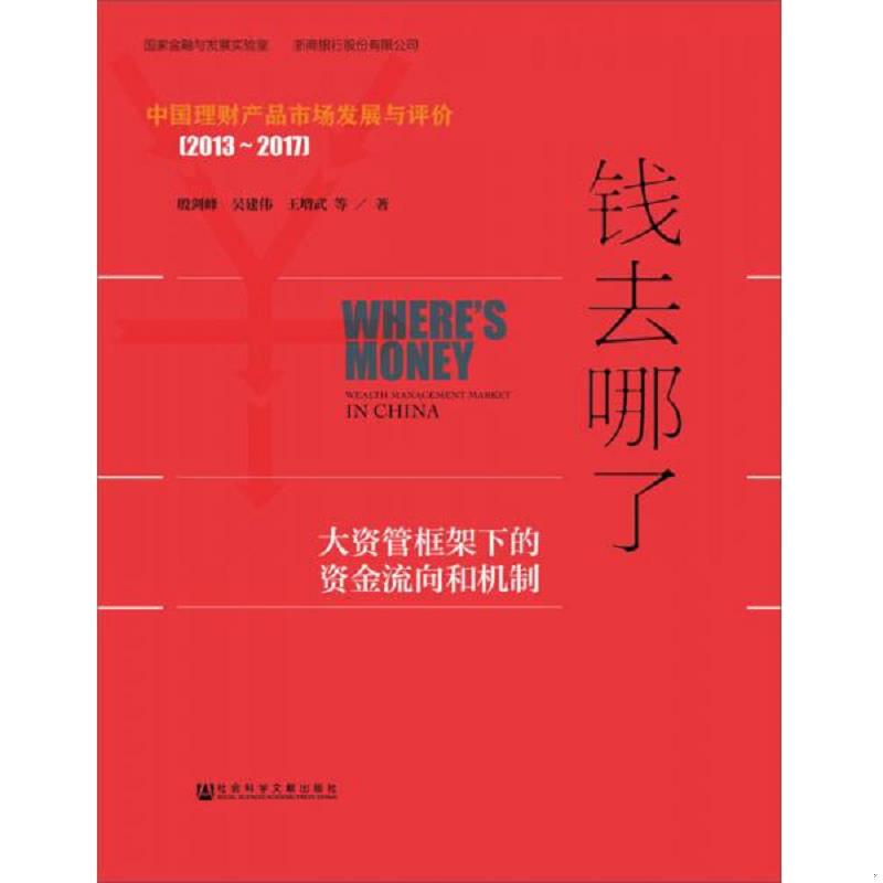 正版速发9787520111119 钱去哪了大资管框架下的资金流向和机制 殷剑峰吴建伟王增武 社会科学文献出版社