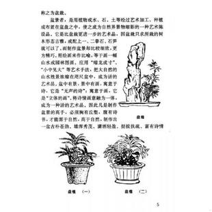 速发9787503817274 中国林业出版 盆景制作与养护问答 陈远刚编著 社 陈显修 正版