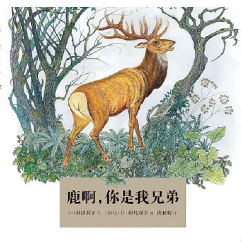 正版速发9787539167046 鹿啊,你是我兄弟 (日)神泽利子 ２１世纪出版社