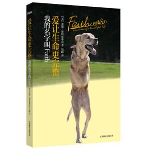 名字叫Faith 爱让生命更完整：我 美 裘德·斯特林费洛著；钱峰译 公司 正版 北京联合出版 速发9787550207196