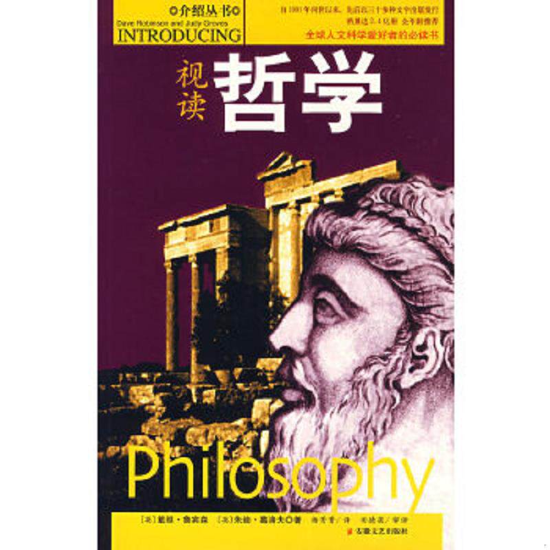 正版速发9787539625980 视读哲学 (英)戴维·鲁宾森,(英)朱迪·葛洛夫著,杨菁菁译,田德蓓审译 安徽文艺出版社