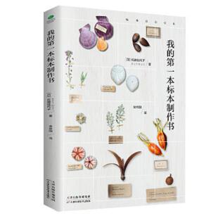 第一本标本制作书 日 佐藤佳代子著 正版 天津科学技术出版 我 宋依阳译 社 速发9787557663438