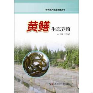 速发9787535777089 湖南科技出版 黄鳝鱼养殖技术书籍 王冬武编 社 特种水产生态养殖丛书：黄鳝生态养殖 正版