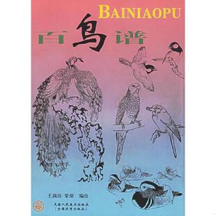 王满良 百鸟谱 梁士容 绘 社 正版 天津人民美术出版 速发9787530500064