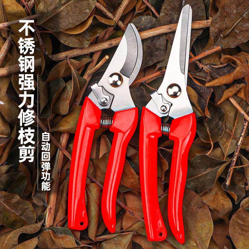 园林园艺修枝剪家用修花修建树枝花卉多功能玫瑰剪不锈钢强力剪子