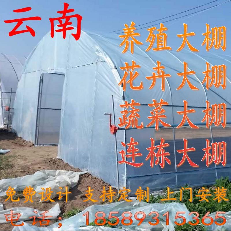 云南 温室养殖大棚花卉大棚 蔬菜大棚 连栋大棚 大棚钢管大棚骨架