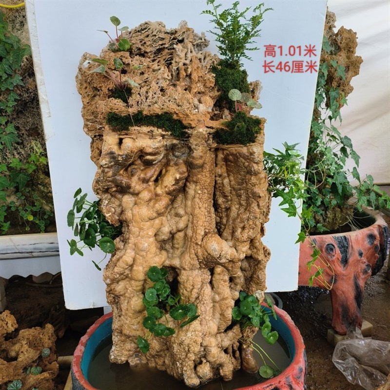 吸水石大型芦管石原石天然上水石盆景假山家居装饰鱼缸造景观赏石