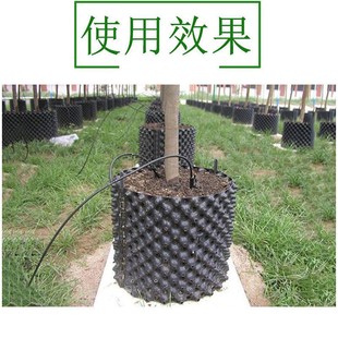 育苗控根器高培土专用加厚围栏子树板植物植树限阻根花盆盆栽盆景