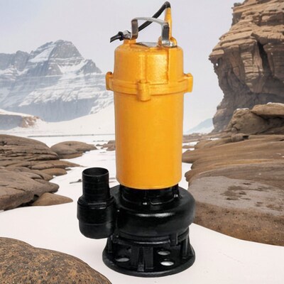 浙江丰污水污物化粪池泵源泵业丰源水泵污水泵小型家用220v高扬程