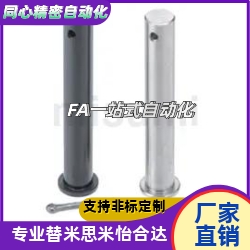 带肩铰链销HCLGHNHCLGN