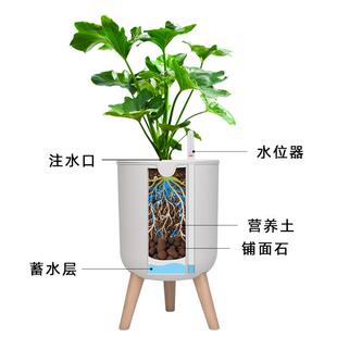 现代客厅家用花盆自动吸水盆兰花花盆发财树专用简约大口径塑料盆