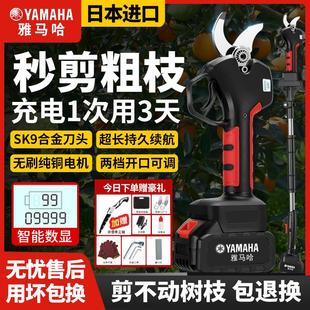 电动剪刀果树充电式修剪树枝锂电池园艺剪子修枝剪树专用剪枝神器