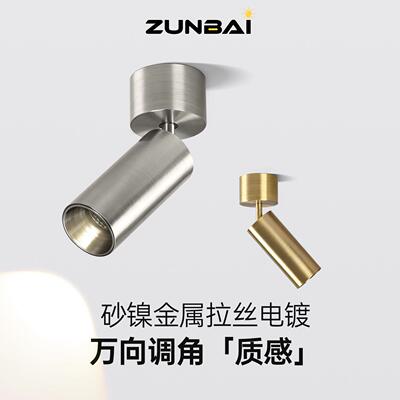 尊柏 明装射灯350°万向调角金属质感拉丝电镀高端客厅包豪斯射灯