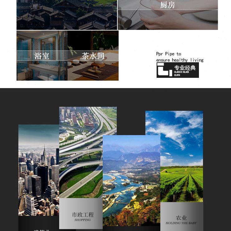 PPR铜闸阀 PPR阀门双头活接铜球截止阀门20 4分PPR水管管件配件
