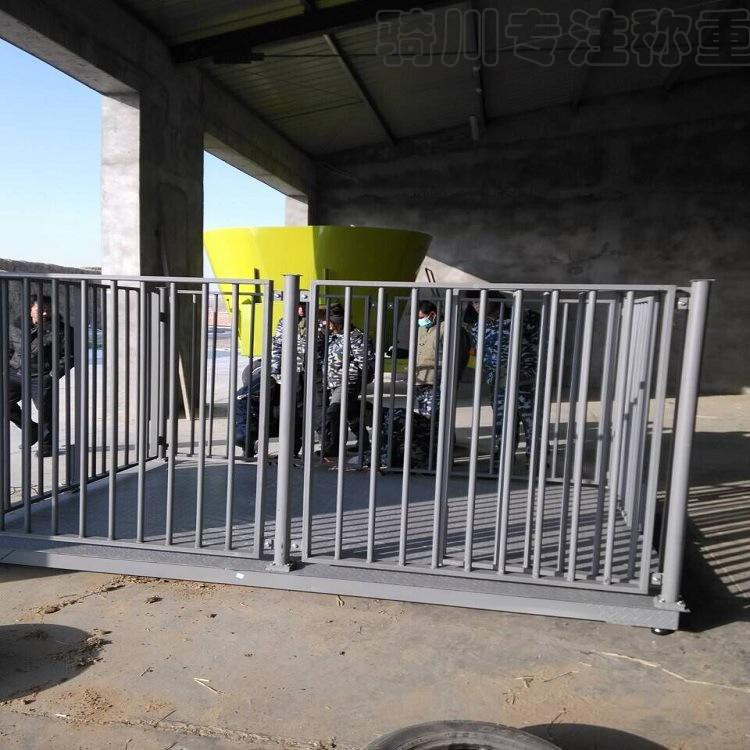 工业3000kg带围栏动物电子地磅 畜牧称重电子平台磅 5吨称牛磅秤