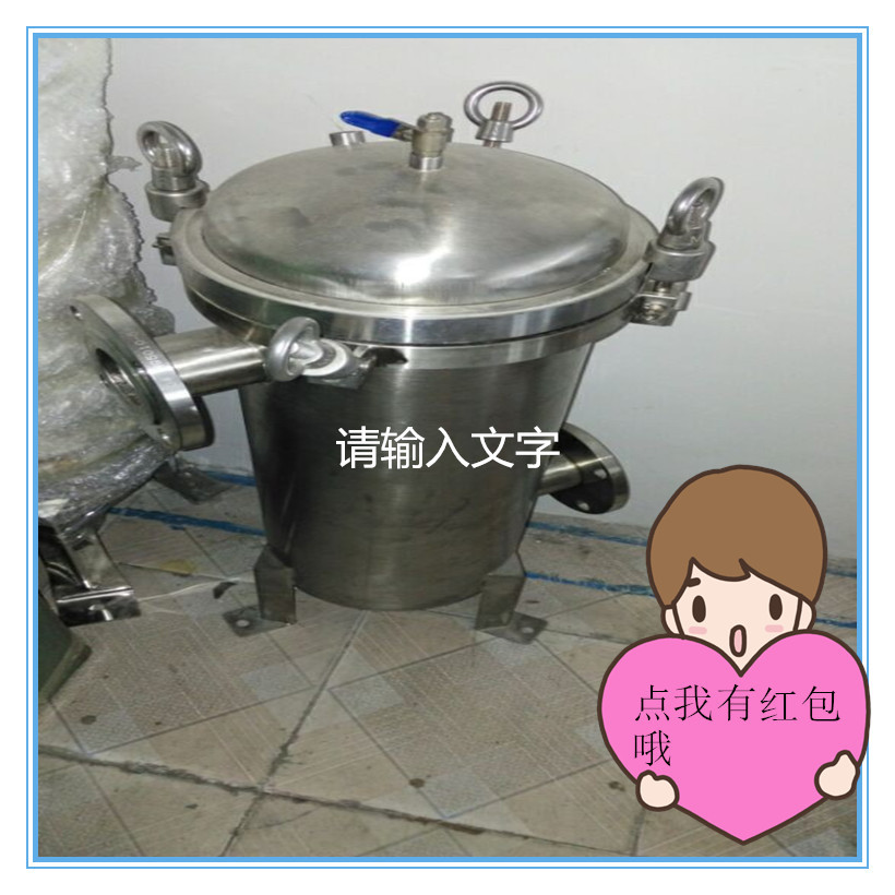 不锈钢筒式过滤器DN50法兰吊环