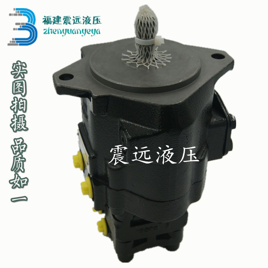 迈拓液压 仙居永灵 定量双联叶片泵YB1-63-100/2.5-100