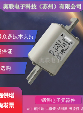 保险丝170M5197 170M5198 170M5199 170M5200巴斯曼熔断器