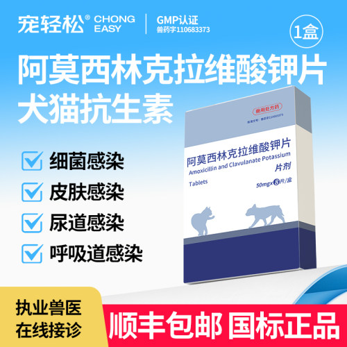 猫狗尿道感染、呼吸道感染