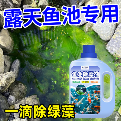 鱼池除藻剂去苔剂别墅鱼池青苔清除剂鱼塘水质除褐藻绿藻清除剂陆