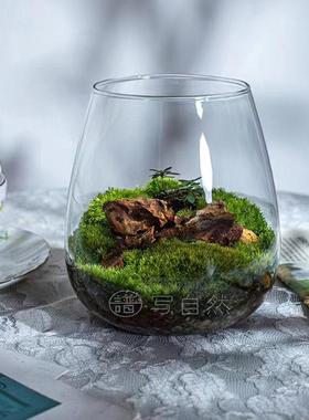 苔藓微景观植物生态瓶高硼硅透明玻璃瓶多肉种植花盆桌面装饰摆件