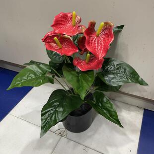 火鹤花花束塑胶材质仿真红花天南星科花烛花箱花盆装饰舞台布置掌