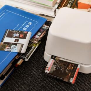 联邦走马回车日历2025蛇年书店再生长系列回车历桌历桌面摆件周历