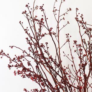 永生灯台干 干燥树枝树枝自然干 干燥花装饰艺术插花山归来中式软