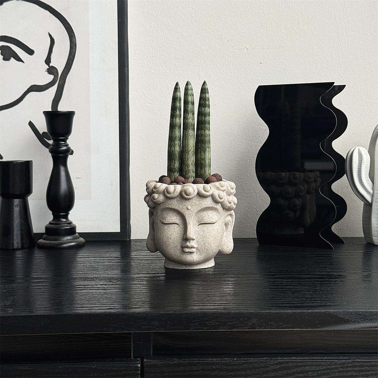 佛前香多肉植物棒叶虎皮兰趣味新中式无刺送礼好养桌面办公室盆栽