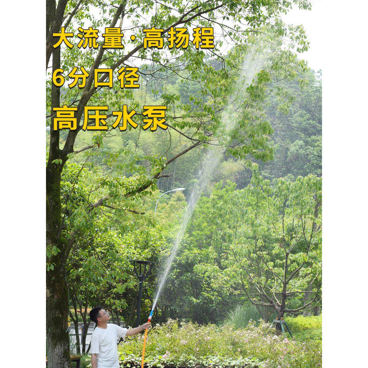 充电式浇菜水泵农用灌溉户外6分管大流量大功率12v水泵井水抽水机