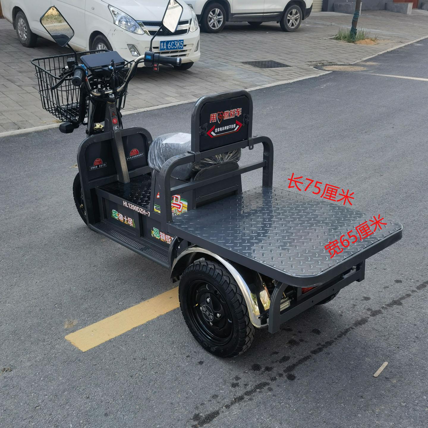 高速电动三轮车长跑电瓶代步车家用农用货车载重王拉货牛马大力神