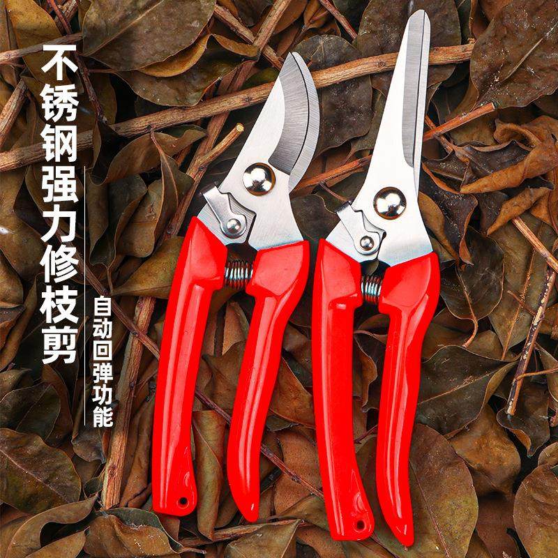 园林园艺修枝剪家用修花修建树枝花卉多功能玫瑰剪不锈钢强力剪子