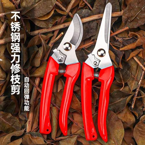 园林园艺修枝剪家用修花修建树枝花卉多功能玫瑰剪不锈钢强力剪子