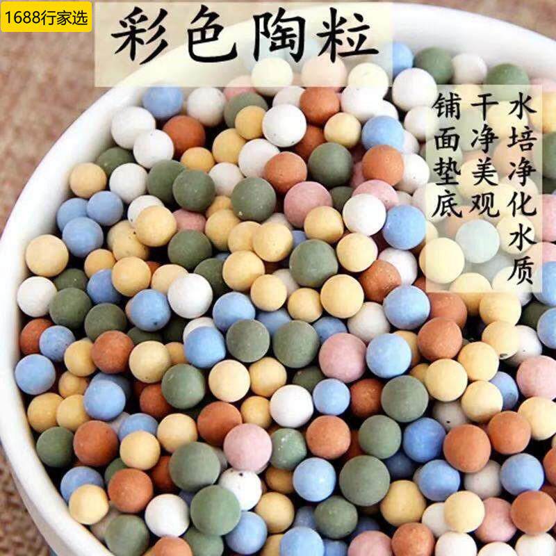 厂家分装园艺彩色陶粒透气隔水无土栽培水培陶球水培装饰用圆粒