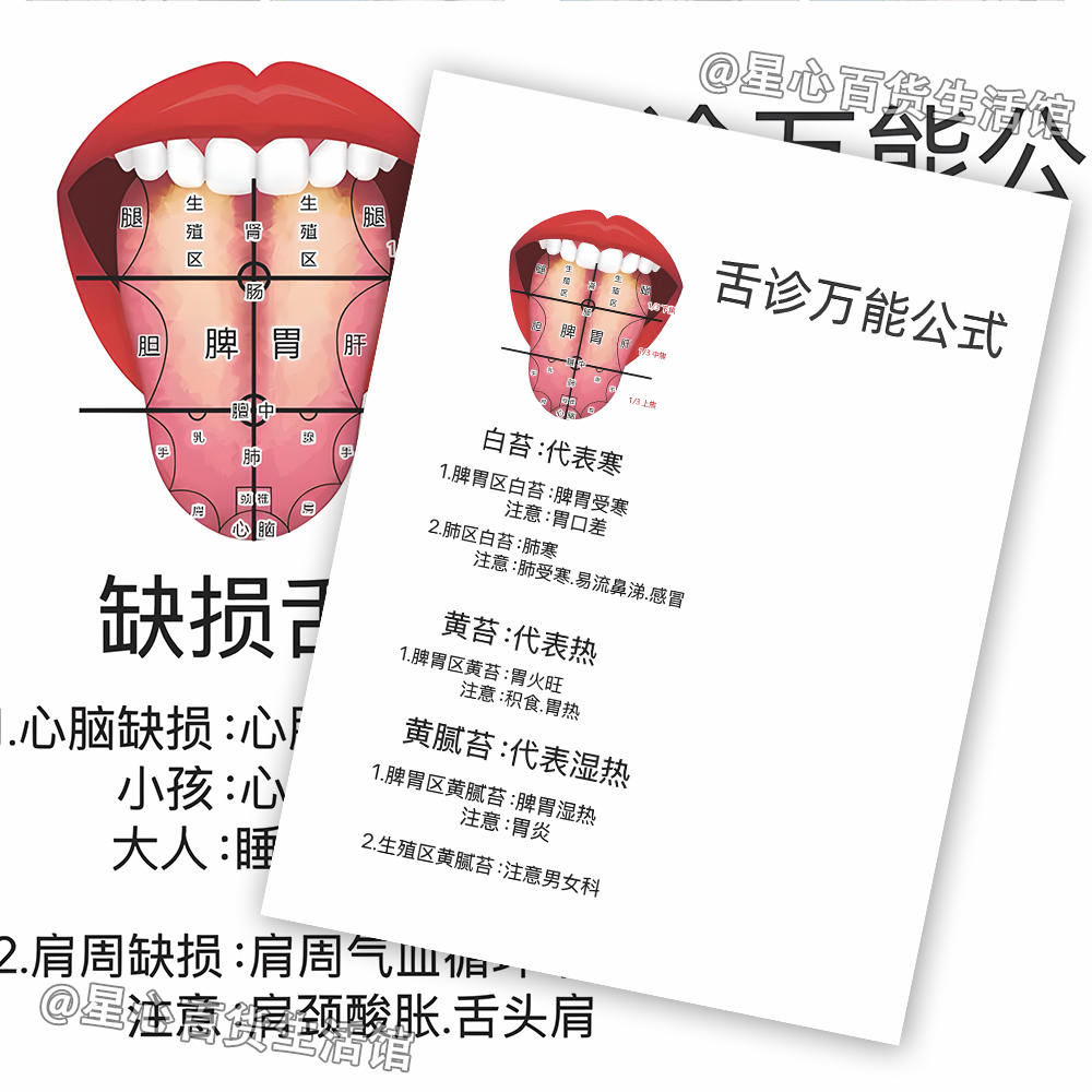 超大6张舌诊贴纸中医医学基础知识卡片参考素材diy笔记本书本桌面