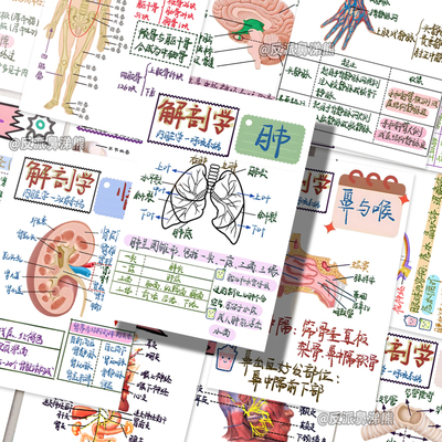 108张解剖医学贴纸人体解剖学知识手账医学生专用新款创意diy贴画