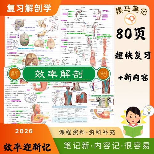 26新版80页霍琨系统解剖学效学霸新版率复习学习笔记超清彩印