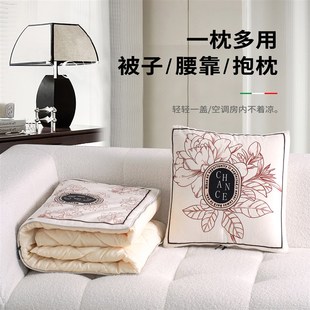 午睡枕头被空调靠枕折叠毯子二合一轻奢简约现代 抱枕被子两用四季