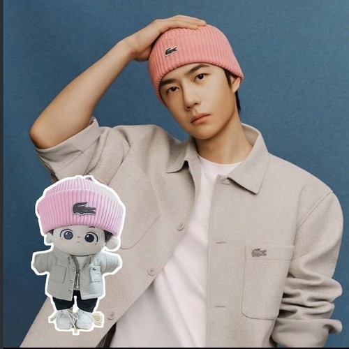 现货王一博棉花娃20厘米娃衣鳄鱼外套帽子15cm骨头项链日常换套装