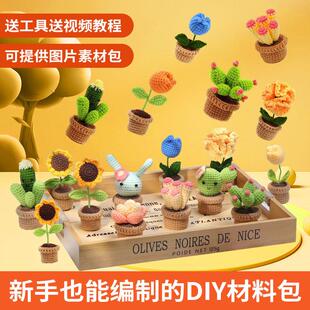 钩针材料包植物系列精纺团线编织DIY摆件支持 亚马逊热款
