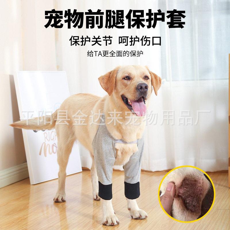 宠物护膝狗狗护膝保暖狗狗护肘衣术后受伤护腿防舔袖关节护具