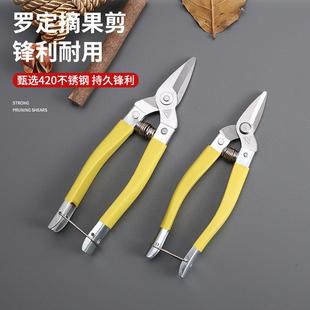 罗定果剪不锈钢树枝剪防滑柄修枝剪刀摘果剪园艺园林剪刀大小黄剪
