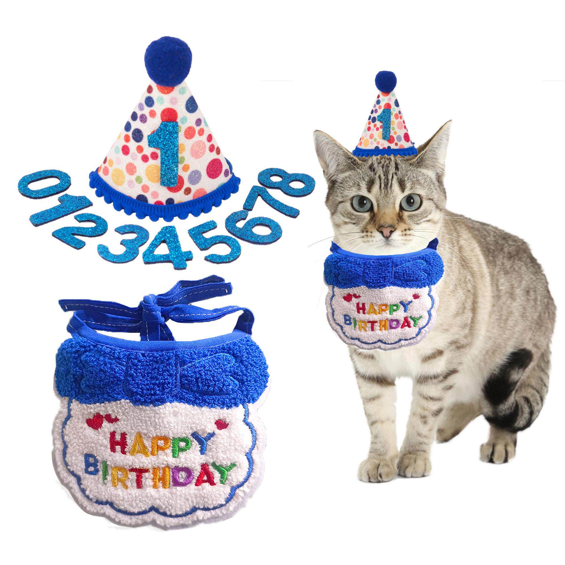 跨境套装宠物帽子生日帽子生日数字新款猫咪装饰围兜