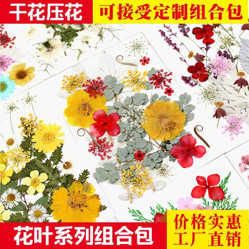 Pressed Flower干花包 干花压花组合包 真花押花材料包 花瓣装饰
