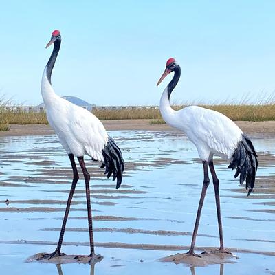 户外彷真仙鹤雕塑花园景观园林假山水池白鹤庭院装饰品丹顶鹤摆件