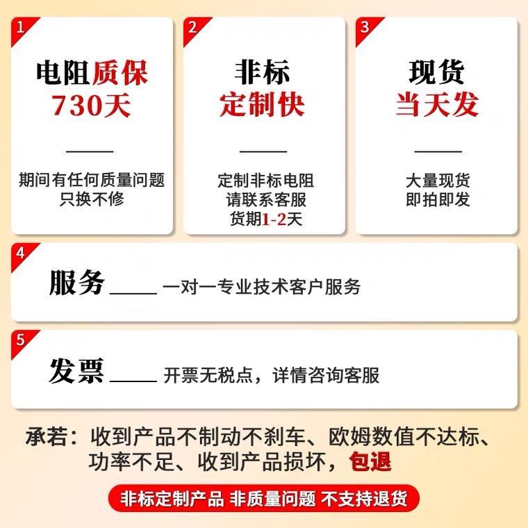 RX20 大功率被漆线绕制动刹车电阻器 25W40W50W100W150W200W瓦