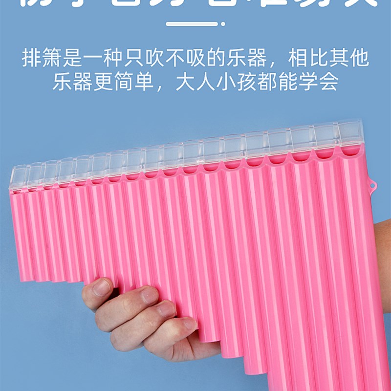 学校排箫民族乐器初学入门16/18管C调易学排笛小学生儿童专业演奏